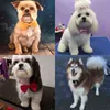 50/100 stks / partij Mix Kleuren Groothandel Huisdier Grooming Accessoires Konijn Kat Hond Strassen Verstelbare Bowtie Multicolor Products 220104