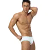 Brand Sexy Men Underpants Solid Briefs Cotton Cueca Tanga Comfortable Underpants Male Panties Mesh Breathable