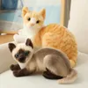 Cuscino di simulazione American Shorthai SHORTHAI SIAMESE Cat PlushStuffed Lifelike Doll Animal Pet Toys per bambini Home Decor Baby Regalo