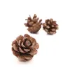 Dekorativa blommor kransar 1020st pinecone naturlig tallkon julgran toppers år fest Xmas bord mini dekoration diy 4881694