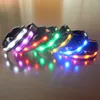 Hundehalsbänder, Leinen, Nylon, LED-Halsband für Haustiere, Licht, Nachtsicherheit, Anti-Verlust, blinkendes Glühen, Zubehör, 7 Farben, S ~ XL, Größe für kleine Hunde und Katzen