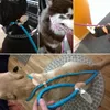 Hoge kwaliteit hondenriem verstelbare training leiband band touw tractie harnas kraag reflecterend nylon