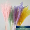 10pcs Wedding decoration pink white pampas grass dried natural phragmites flowers home decor Natural dried bouquet flowers1 Factory price expert design Quality