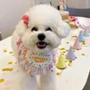 Bavaglino per animali domestici di compleanno Asciugamano saliva Simpatici animali domestici Sciarpa Abbigliamento per cani Stile INS Forniture per bavaglini per cani Teddy Bichon