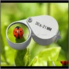 Mini 30200x21 mm Juelelers Eye Loupe Eye SZKOLNOŚCI DO BIDYBLY DIOND 0133 7F1CR GQXTQ6539929