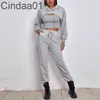 Mulheres duas partes calças deisgner sexy cor sólida outono hoodie solto colete de guarda de guarda três peças esportes jogging pano conjunto xs-xl 5 cores