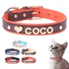 custom cat collars met naam