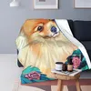 dog car blanket