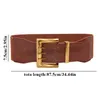 Alto elástico PU Cinturones de cuero ancho Color sólido Color sólido Simple Classic Decorativo Cinturonillas Pin Hebilla Faja para mujeres Damas Cinturón elegante