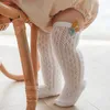 Chaussettes d'été en maille creuse pour bébé fille, mignonnes, au-dessus du genou, respirantes, douces, couleur unie, longues chaussettes pour enfants en bas âge