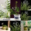 花瓶到着屋内自動花ガラス植物の花虎水浴装置スプリンクラーガーデン水フィーダー
