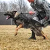 軍事戦術犬ハーネスナイロンペットドッグベストハーネスバンジードッグリーシュミディアムラージドッグドイツの羊飼いのためのハンドル付き