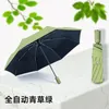 Grön automatisk solparaply strand vikning paraplyer regn kvinnor parasoll vindtäta klara damer soliga presentidéer