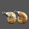 Natuurlijke Crystal Fossil Shell Slak Hanger Ketting Energie Steen Helende Divination Kettingen voor Home Decoration Gift Collection