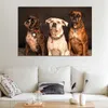 Cani Thress Poster E Stampe Animali Tela Pittura Wall Art Immagini Per Soggiorno Modern Home Decor NO FRAME