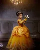 2022 Sarı Dantel Kristaller Çiçek Kız Elbise Bateau Balll Kıyafeti Küçük Kız Düğün Ucuz Communion Pageant Törenlerinde WJY591