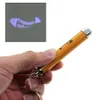 Лазерный проектор собака игрушка кошка подарок палкой смешные новые крутые многоцветные лазерные указатель ручка с рыбой мыши