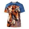 3D Cavalo Impressão Camiseta Para Menino Conforto Eens Verão Engraçado Animal Op Manga Curta Menina Moda Ops 210629