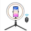 26cm Wireless Bluetooth Control Selfie LED Ring Light with Tripod Stand with 3 Make Up Light Modes for YouTube Tiktok Video Studio