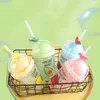 Creative Fruit Ice-deeltjes Cup Kids Waterfles Leuk Straw Type met Deksel Plastic 380ml Dubbele Muur Drinkwarenkan