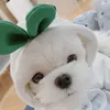 Funny Pet Hoodie Sweatshirt Dog Cat Sweater T Shirt Clothes Apparel Teddy Corgi Bichon Puppy Costume