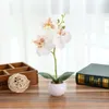 Decorative Flowers & Wreaths Small Round Basin Butterfly Orchid Bonsai Artificial Green Plant Potted Simulation Silk Flower For Home Living