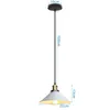 Plafondverlichting Vintage Hanger Industriële Wind Retro Landelijke Kroonluchter Lamp Creatieve Single Black Bar Lampshade Loft Decoratie