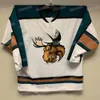 Custom Manitoba Moose Hockey Jersey Ahl Simon Lundmark Evan Polei Kristian Reichel C.J. Suesess Mikey Eyssimont Greg Meireles Thomas Caron Jeff Malott Cole Maier