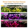 FullSpectrum LED Grow Lights USB5v Lead Round Angel Ring Succulent Fill Lamp Dimmable Indoor Lighting AntiSplendid Coloring Gre3659161