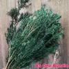 30-45cm 70g本物の乾燥した自然保存されたメラレウカ装飾的な永遠の草は、クリスマス装飾のための新鮮な乾燥植物21102222v