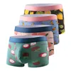 underpants 속옷 남자 4pcs / 세트 남성 팬티와 코튼 과일 인쇄 클래식 망 복서 팬티 통기성 남성 반바지 칼레컨 남자