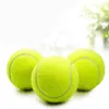 Tenis Topu Profesyonel Takviyeli Kauçuk Amortisör Yüksek Esneklik Kulüp Okulu için Dayanıklı Eğitim