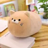 40 cm 50 cm mignon gros chat en peluche peluche animal doux Dol chaton oreiller coussin jouets pour enfants cadeau enfants amis de haute qualité LA260