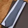 Groothandel 100% Silk Tie 18 Style Classic Tie Merk Heren Casual Ties Geschenkdoos Verpakking 36555