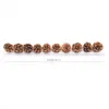 Dekorativa blommor kransar 1020st pinecone naturlig tallkon julgran toppers år fest Xmas bord mini dekoration diy 4881694