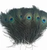 Отличное украшение натуральные павлины хвостовые перья Bulk Peacock перья 10-12 "(25-30см) павлинов перьев