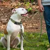 Militärische taktische Leine Deutscher Schäferhund Mittelgroße Leine für das Walking-Training Hundehalsband-Kontrollgriff3188