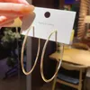 Minimalistiska smycken Big Small Circle Hoop örhängen för kvinnor Kvinna Fashion Gold Silver Color Ear Nightclub DJ Brincos Huggie9221541