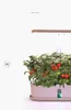 Planters POTS Desk Lamp Hydroponic Indoor Garden Kit smart multifunktion Växande LED för blommor frukt och grönsaksanläggning med 7226533