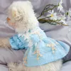 Sukienki Vintage Koronki Niebieska Plaid Dress Fit Mała Szczeniak Kot Haft Mesh Yarn Spódnica Pet Cute Costume Dog Odzież