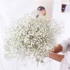 Prezenty dla kobiet Big Brong Baby Breath Naturalny wysuszony zachowany gipsophila kwiat wystrój domu dom ślubny bukiet walentynki darem darowit Paniculata