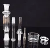 Mini Small Nector Collector Kit Rökning Micro NC Kits Hookahs 10mm Joint med Titan Nail Glass Tip Dabber Reclaim Straw Box