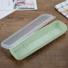 Bestickskolor Torteringsboxar med transparenta lock Portable Chopsticks Sked gaffelfodral för utomhusbruk