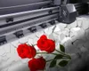 Камень Роза 3D Современные Обои Романтические Цветочные Дом Улучшение Обои Обои Гостиная Спальня Кухонная Стенорезные Бумаги