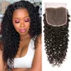 Całe włosy Curly 5x5 HD Lace Closure Brazilian Remy Human Hair 1pcs6875282