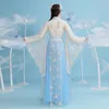 Hanfu mulheres palco desgaste chinês tradicional dança fada fantasia cosplay show feminino elegante vestido antigo princesa roupas