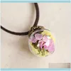 Necklaces Pendants Jewelry5 Color Handmade Daisy Pendant Real Dried Flower Glass Wish Bottle Choker Necklace Women Jewelry For M5639584