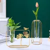 Vases Mounted Vase Wrought Iron Flower Stand With Rack/Holder Modern Home Office Decoration For Propagating Hydroponics Plants