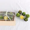 Succulent plant candles paraffin wax cactus candles 6pcs / lot birthday Home Décor T2I53305