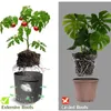 プレミアムシリーズ1-30ガロン植物育成バッグヘビーデューティー容器厚い不織布植物鍋プランターFHL383-WY1563